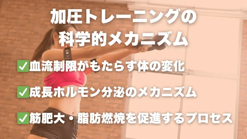 加圧トレーニングの 科学的メカニズム