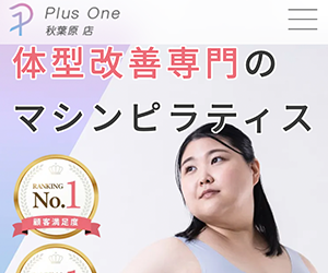 Plus One（プラスワン） 秋葉原店
