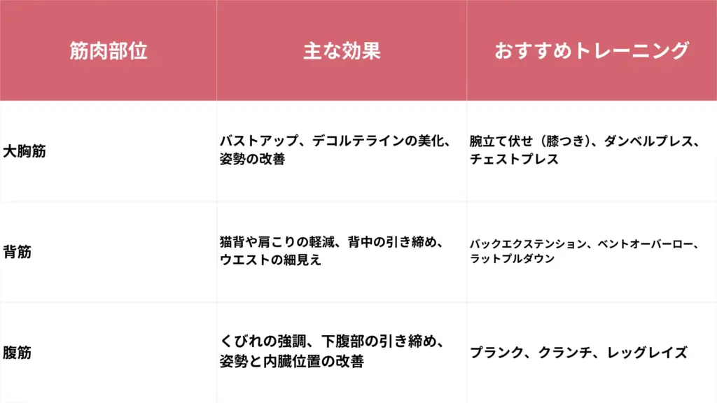 女性が鍛えるべき主要な3つの筋肉の表