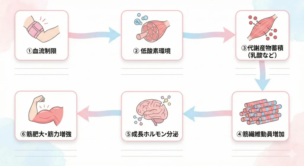 加圧トレーニングとは?