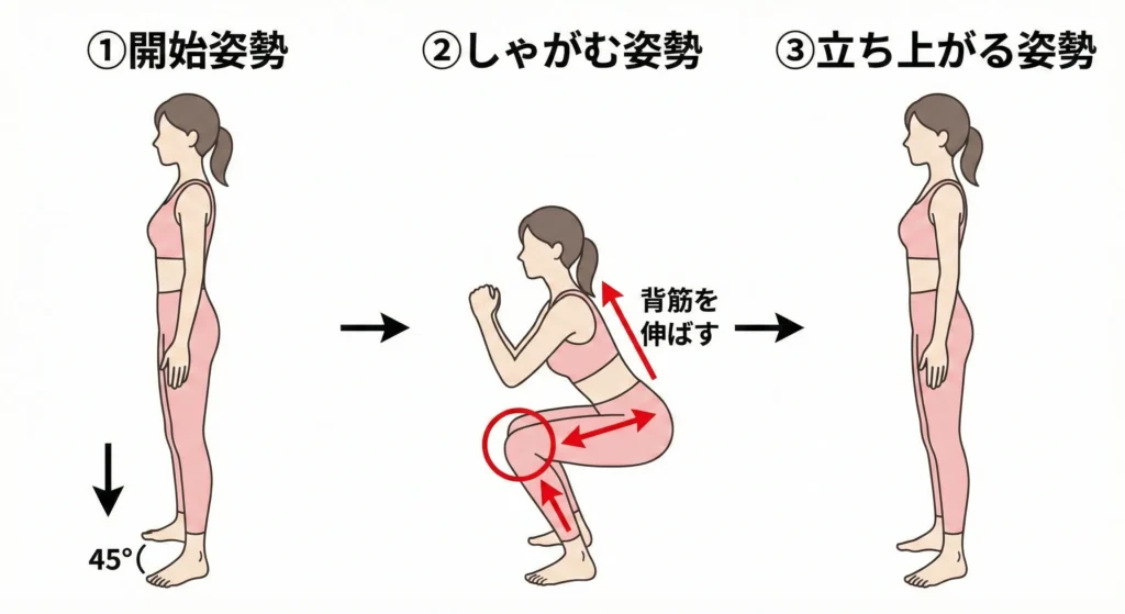 ワイドスタンススクワット|初心者におすすめ