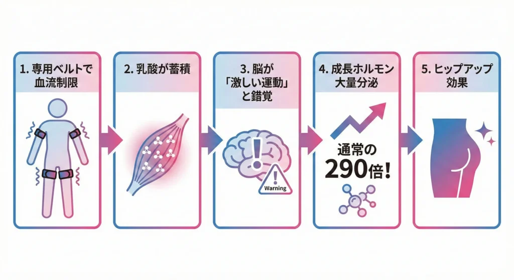 加圧トレーニングの効果メカニズム