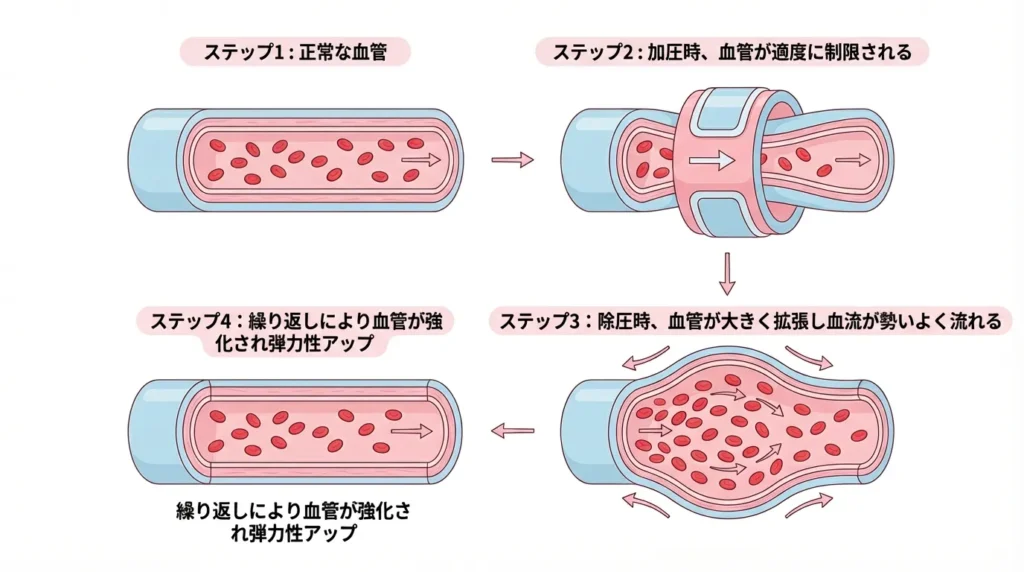 加圧サイクルの仕組み