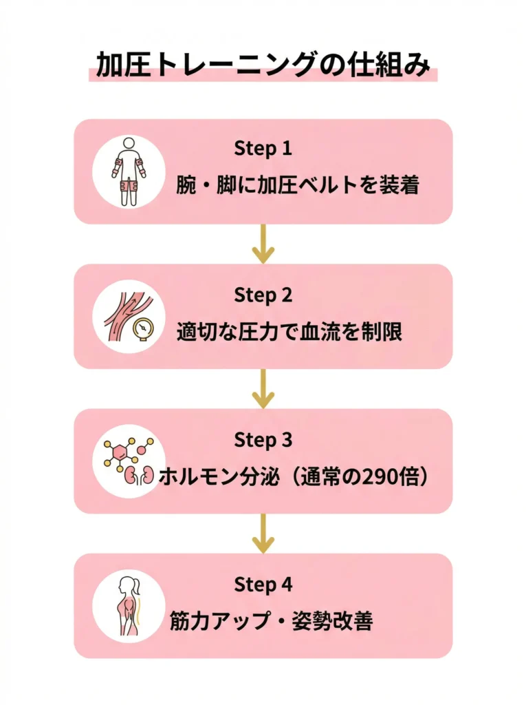 加圧トレーニングのメカニズム