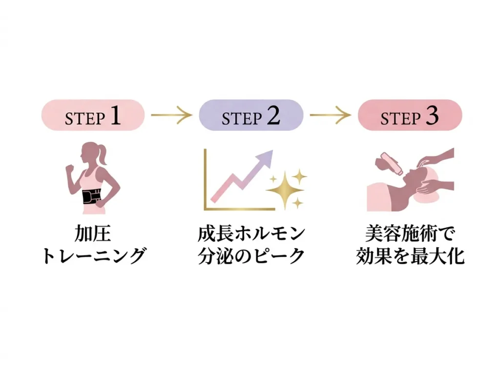 成長ホルモンのボーナスタイム活用フロー