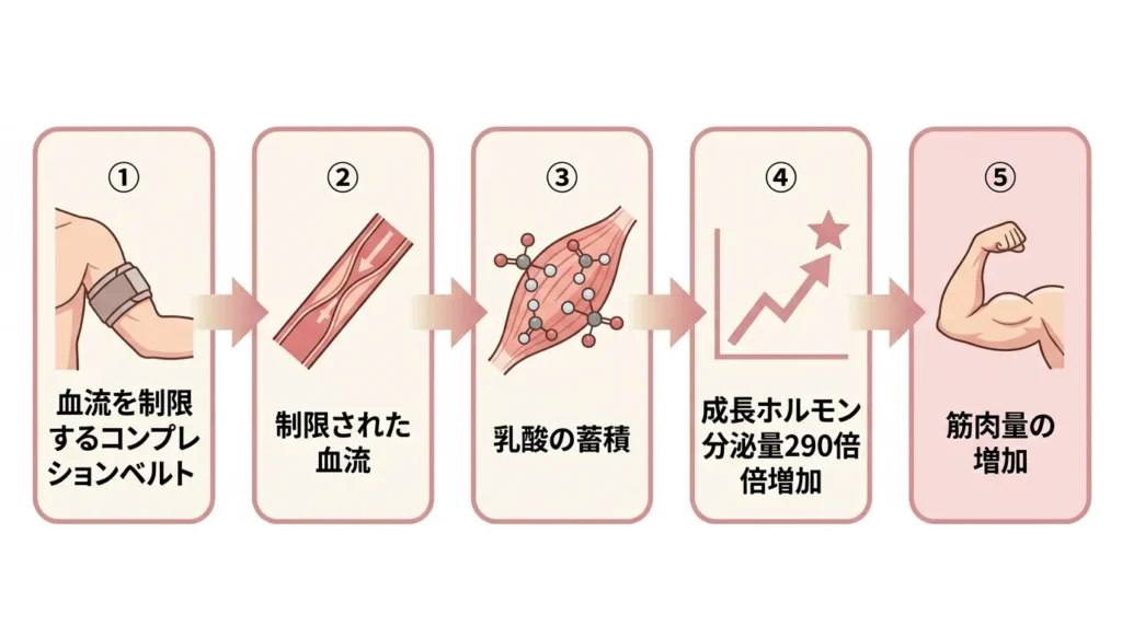 加圧トレーニングのメカニズム