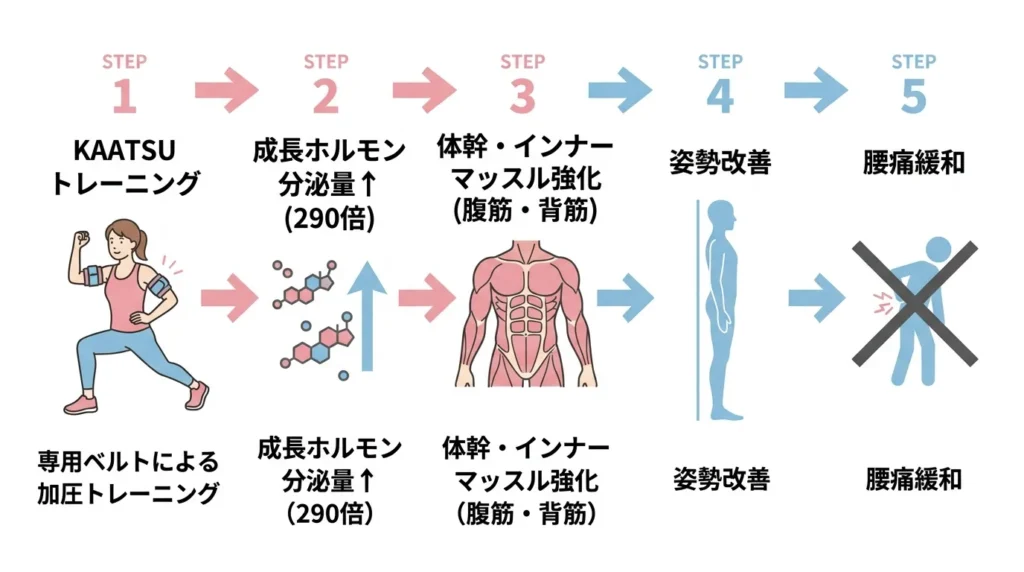 加圧トレーニングによる姿勢改善の仕組み図