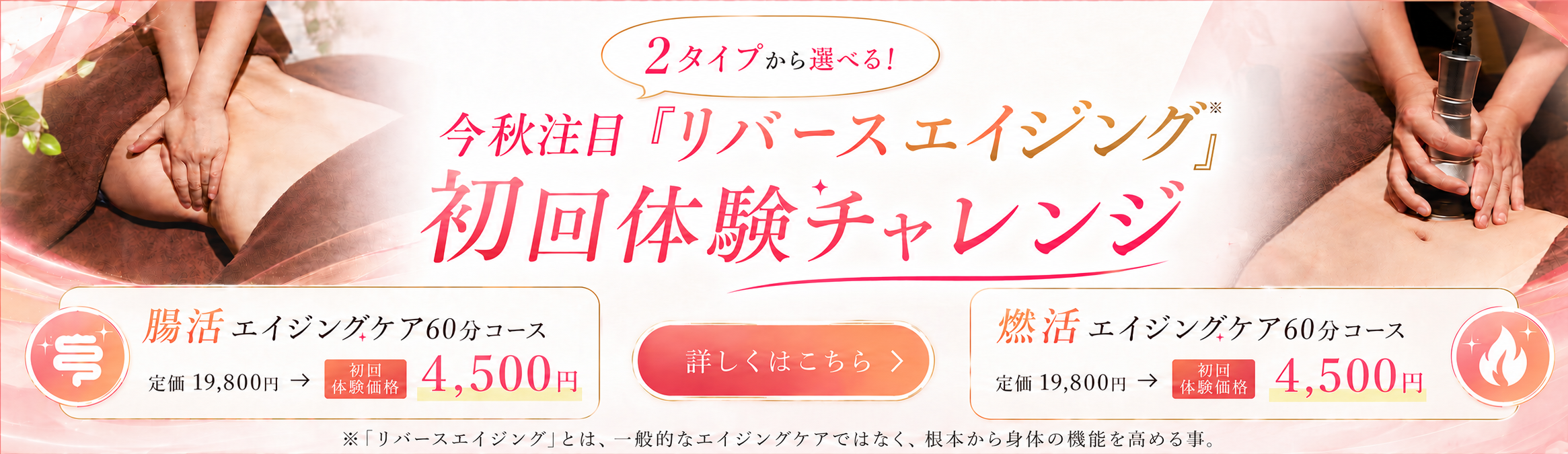 トップバナー